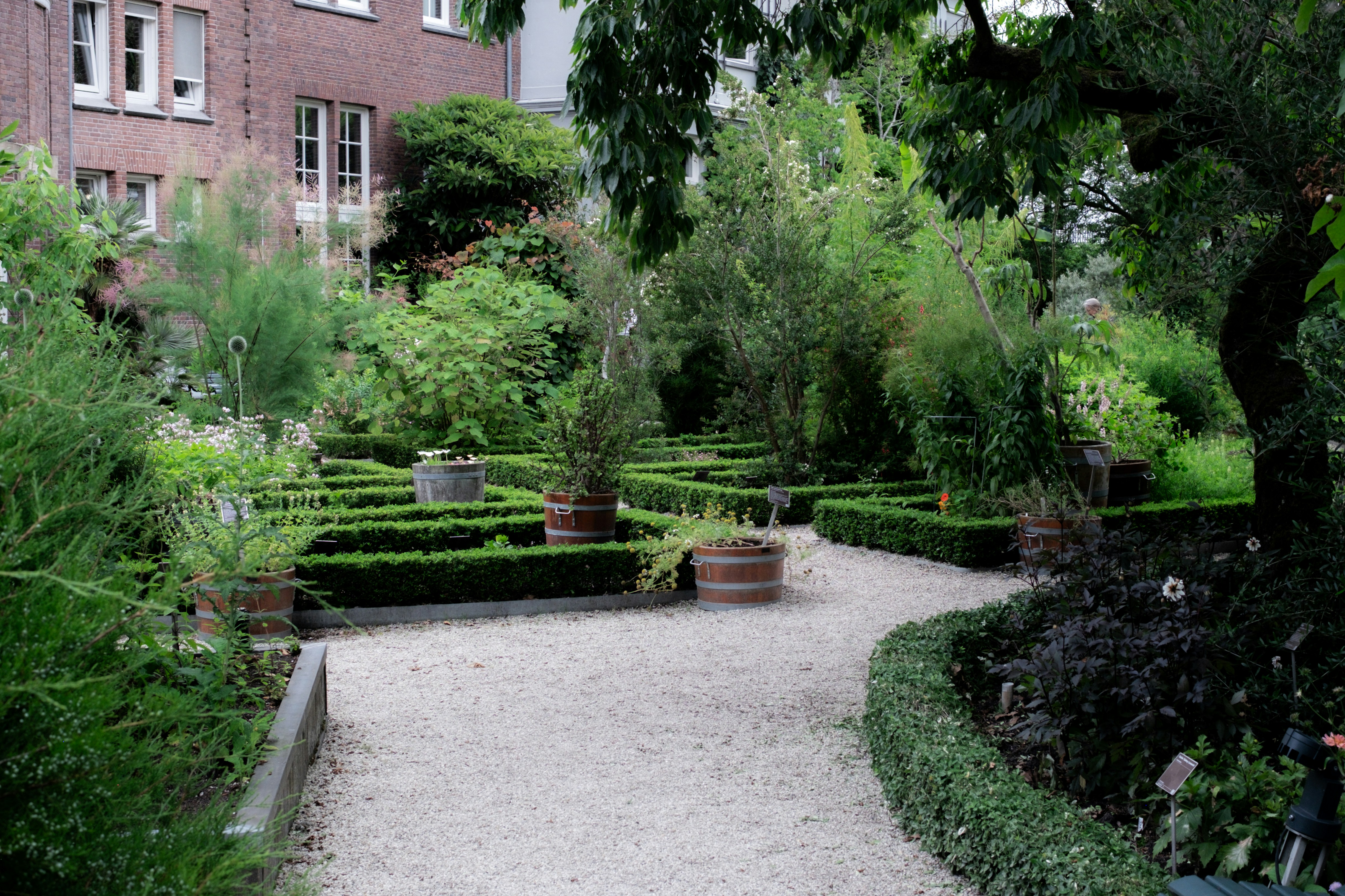 The Courtyard Garden, North London